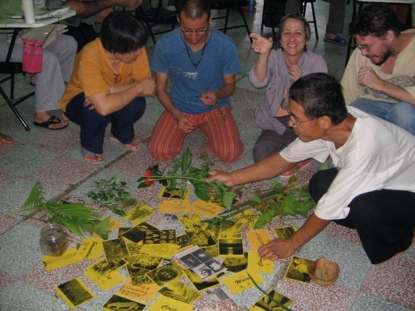 1924228_57700541520_500_n