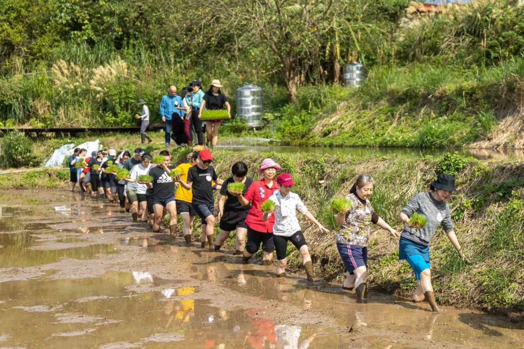 409057683_816216620547002_3075214140494073529_n